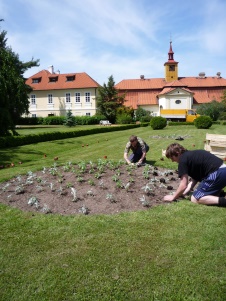 Zajištění odborných zahradnických prací v zámecké zahradě v Chrasti v roce 2012