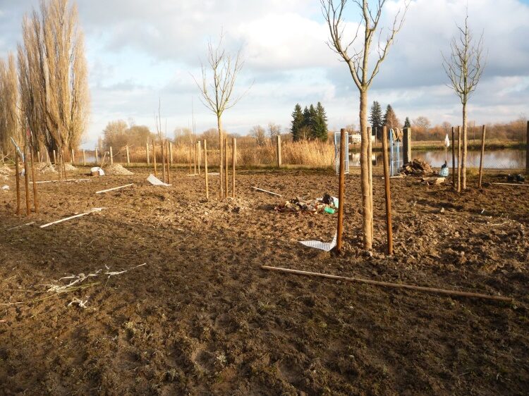 Arboretum Lysá nad Labem