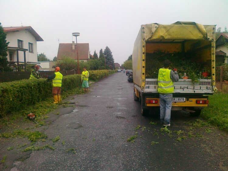 Údržba živých plotů Čelákovice